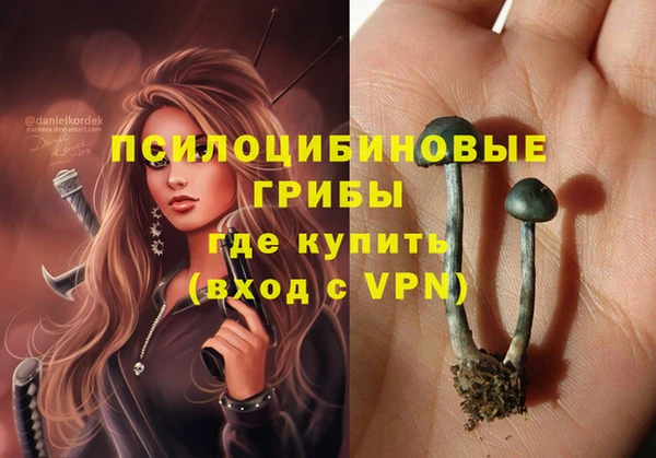 эйфоретик Балахна