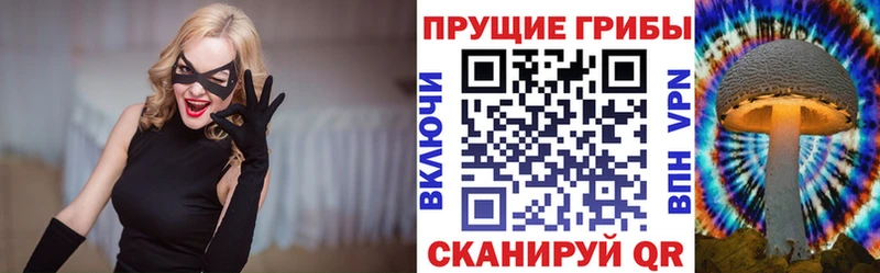 Псилоцибиновые грибы Psilocybe  гидра ссылки  darknet Telegram  Кстово 